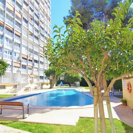 Albatros 11-5 Appartement *