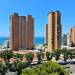 Albatros 11-5 *